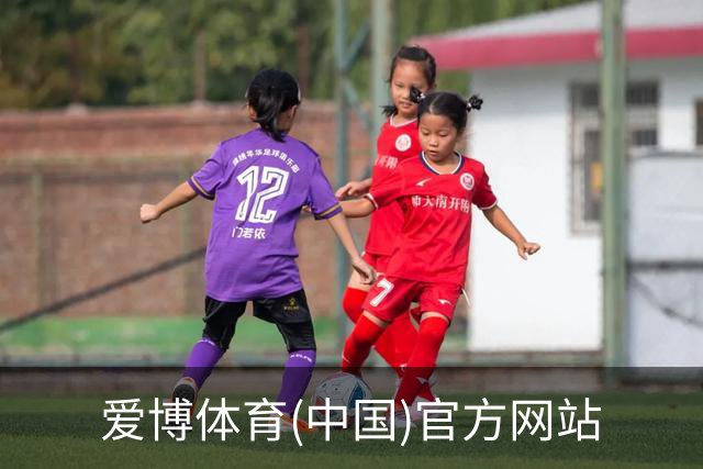 爱博体育(中国)官方网站